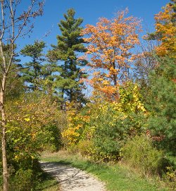 32 12-Oct-13 12-12-18 P7100 015